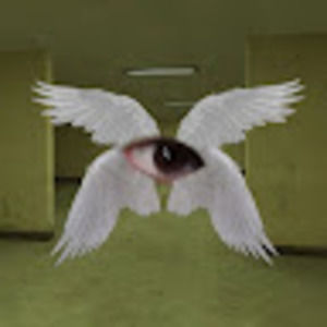 Meet your Posher, Werid_core